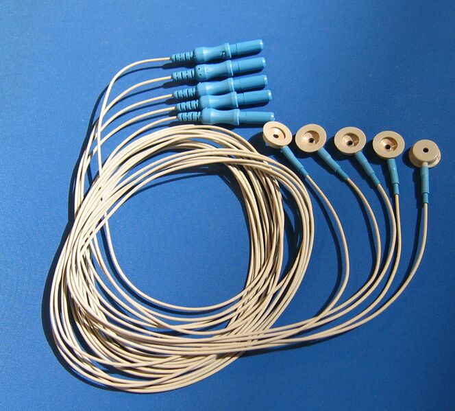 File:Gereonics-EEG Electrodes.jpg