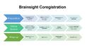 BrainsighCoregistration-Flowchart.jpg